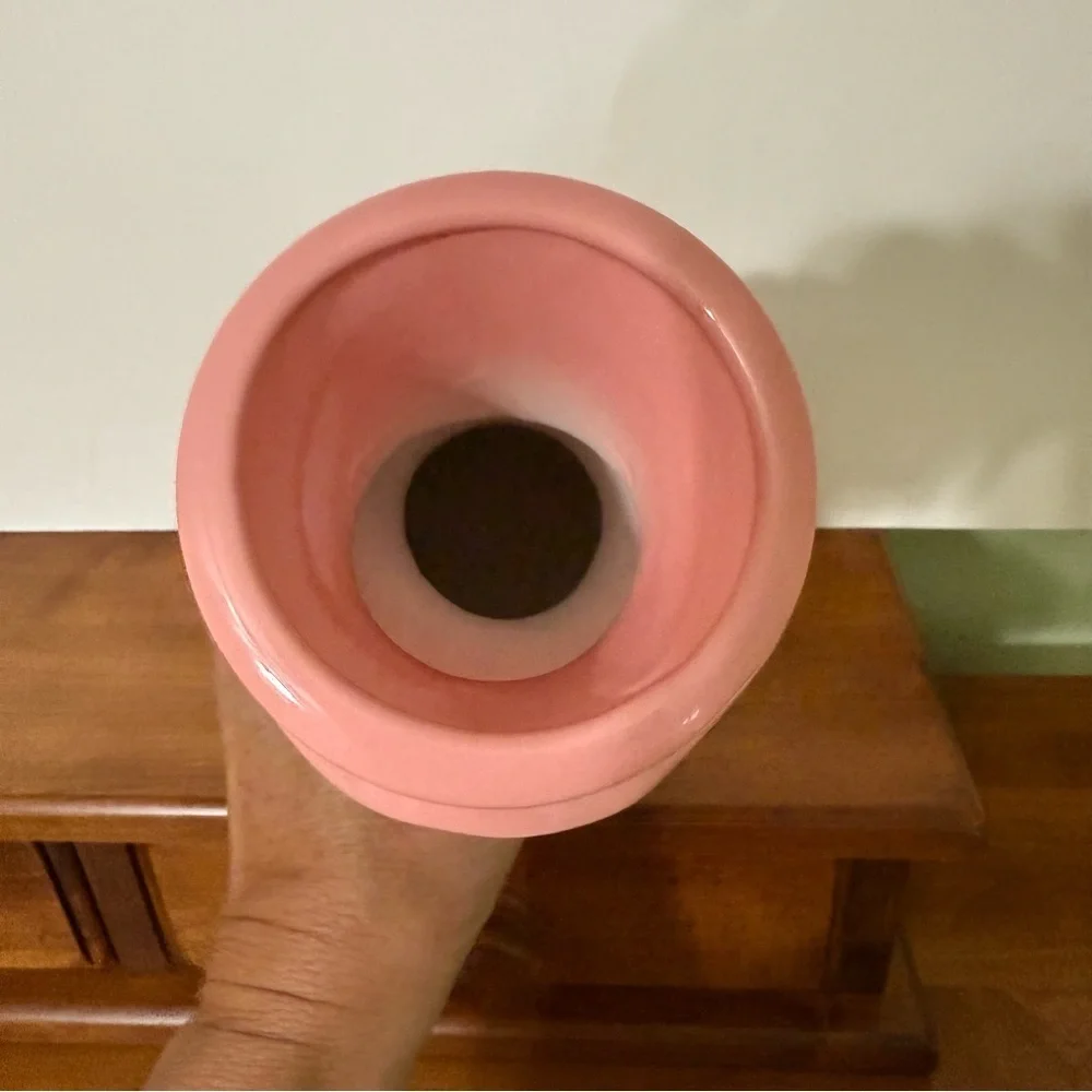 NEW in packaging Elegant‎ Pink Ceramic Vase 10.23 inches tall modern